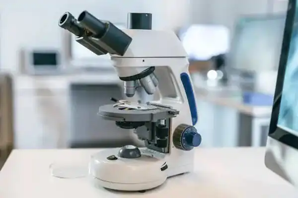 Chemical composition analysis